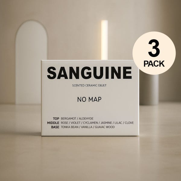 생귄 센트 세라믹 (XS) 차량용 방향제 리필 3Pack, 쉘터드바이우드