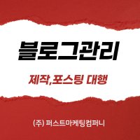 블로그운영 대행 관리 제작 디자인 컨텐츠 포스팅