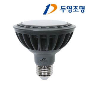 두영 LED PAR30 15W 확산형