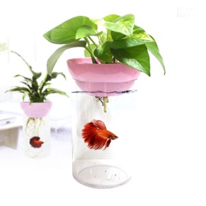 아쿠아포닉 GA-001 핑크 / 베타어항, 수경식물 수경재배 어항