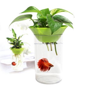 아쿠아포닉 GA-003 그린 / 베타어항, 수경식물 수경재배 어항