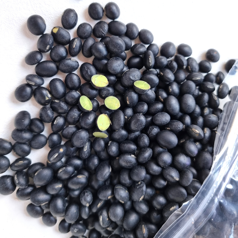 햇 국산 서리태 검은콩 속청콩 500g 1kg 오곡잡곡