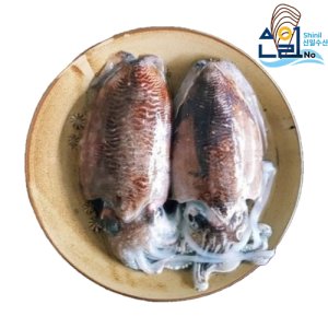 갑오징어 1kg 서해안 손질, 통 급속냉동