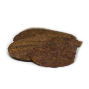 탄토라 알몬드잎 NANO (15장)