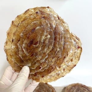 프리미엄 두꺼운 두툼 쥐포 1kg (25-28장 내외) /어포 마른 안주 간식