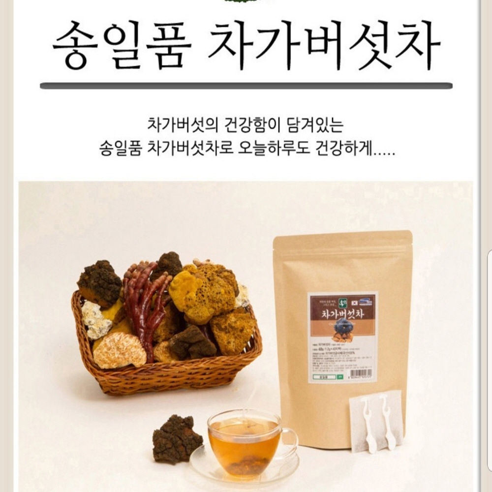 차가버섯티백 차가버섯 차가버섯차 차가버섯물 버섯차 차가버섯균사체 베타글루칸 국산차가버섯