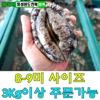 완도참전복 특대 활전복 8-9미 1kg 초특가판매 [화성완도전복직판장]