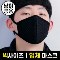 블랙마스크 빅입체마스크 피카_183D0146-BBK