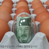 달걀형 캡슐 투명캡슐 플라스틱계란 달걀모형 계란모형 뽑기볼 부활절달걀 부활절계란 계란모양틀 뽑기통