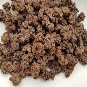 국산 개다래 열매 충영 600g