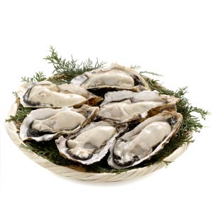 통영 산지직송 생굴 1kg 깐굴 하프셀 석화 각굴