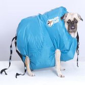 펫드라이룸 강아지 고양이 드라이룸 애견드라이기