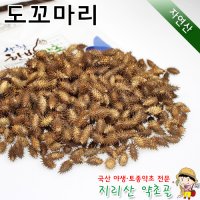 자연산 볶은 도꼬마리 300g 창이자