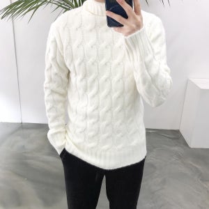 겨울 꽈배기 남자 터틀넥 폴라 니트