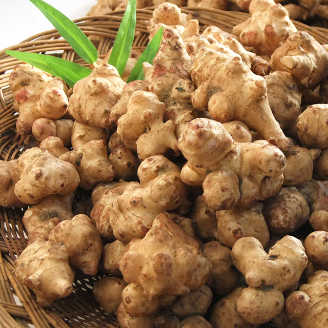 산정마을 국내산 생 <b>돼지감자</b> 3kg/5kg