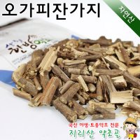 자연산 오가피나무(잔가지) 500g 오갈피나무