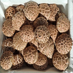 표고버섯 국내산 무농약 500g 1kg 산지직송 표고미로