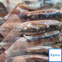 더푸름 국내산 냉동 선동오징어 8.5kg (포크오징어 10kg)