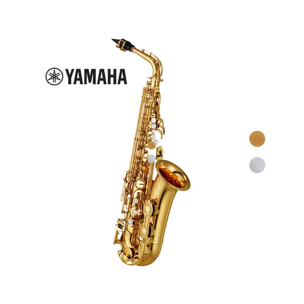 칸뮤직 YANAGISAWA 야나기사와 알토색소폰 A-WO1