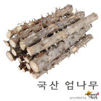 국산 엄나무 [300g], 음나무, 엄목 [약재파는청년들]