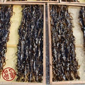 햇 산모미역 돌미역 산모용 완도 1m이상 700g