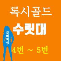 강원산업 록시골드 민물낚시대 수릿대 4번대 5번대