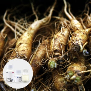 향료 더덕향 KOREAN BELLFLOWER ROOT FLAVOR 30G-80G