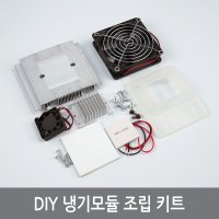 W50 DIY 냉기모듈 조립키트 미니 열전소자냉장고 실험