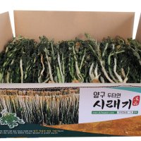 강원도 양구 청정지역 직접재배 햇 시래기 무청 시래기 건시래기(1kg)