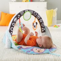 [피셔프라이스] 플립&펀 액티비티 아기체육관 Fisher-Price 2-in-1 Flip & Fun Activity Gym