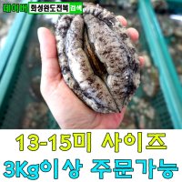 완도 참전복 특대 활전복13-15미 1kg 초특가판매 [화성완도전복직판장]