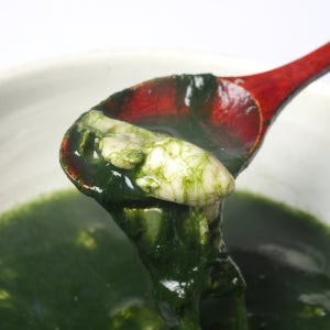 완도 매생이 굴 깐굴 매생이굴국밥