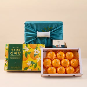제주 명품 천혜향 3kg 가정용 선물용 고당도 당도선별 설 설날 명절 과일 선물세트