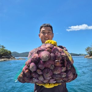 홍가리비1kg 최저가 가성비상품