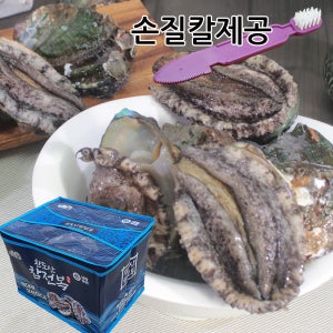 [기절않는] 전복선물세트 완도전복직거래 국산활전복