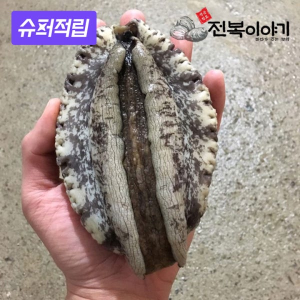 [대통령상 수상]진도 왕특대 활전복 꼬마 완도 전복 1kg 4미부터 명절 선물세트