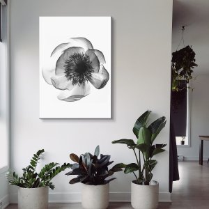 풍수 모던 인테리어 엑스레이 플라워 그림 시클라멘 캔버스 액자 중대형20호(53x72.7cm)