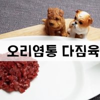 헬시펫 국내산 오리염통 다짐육 500g 명품원료육