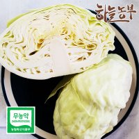 하늘농부 친환경(무농약이상) 양배추