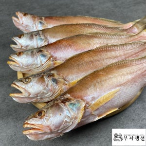 부자생선본점 반건조 반찬용 구이용 손질생선 쫄깃한식감민어조기 소 중 대 5마리