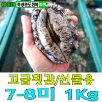 완도전복 특대 참전복 7-8미1kg 활전복 선물세트 산지직송 [화성완도전복직판장]