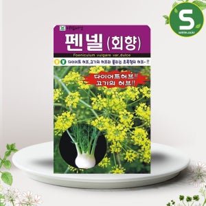허브씨앗 펜넬씨앗 400립 펜넬 회향 허브씨