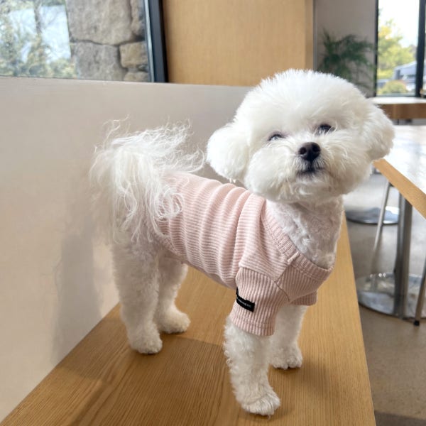 매그독 강아지옷 데일리 티셔츠