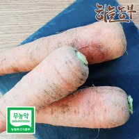 하늘농부 친환경(무농약이상) 당근 500g, 1kg