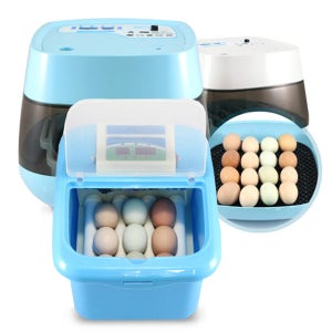 디지털 꼬꼬 자동부화기 가정용부화기모음전