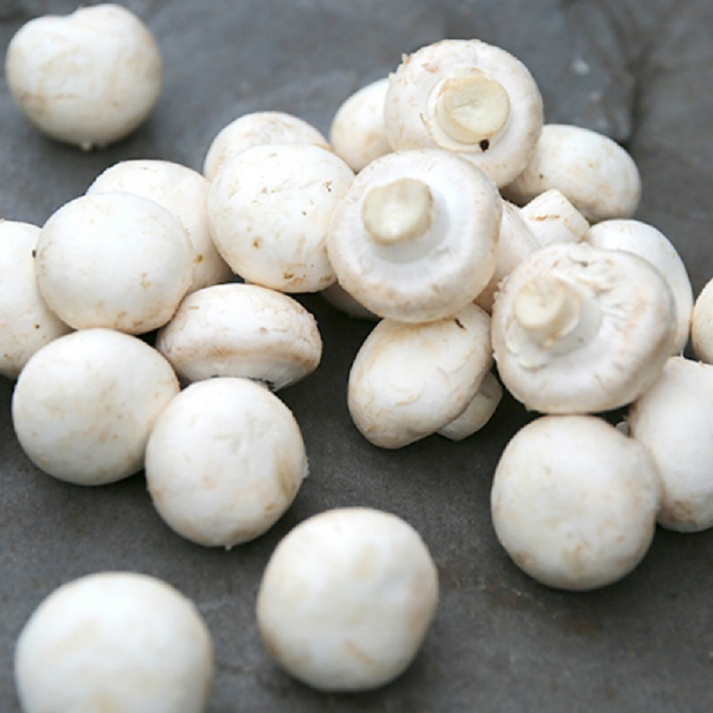 산지직송 부여 양송이버섯 중품 500g, 1kg, 2kg