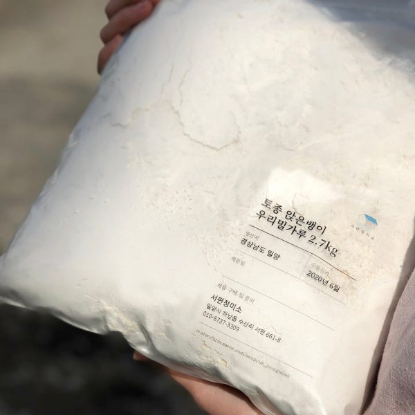 [2026 햇밀] 국산토종 앉은뱅이밀 우리밀 2.7kg
