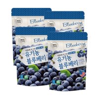 [2kg] 호재준 냉동 유기농 블루베리 500g x 4팩