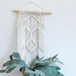 마크라메 페인 플랜트 행거 (25X80)