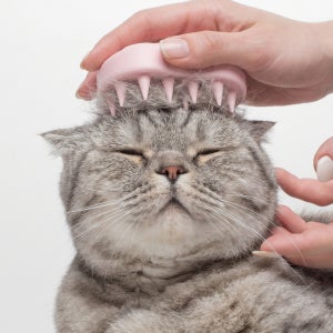 캣츠모리 고래빗 고양이 실리콘빗 브러쉬